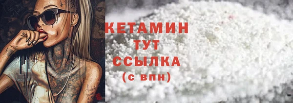 трава Корсаков