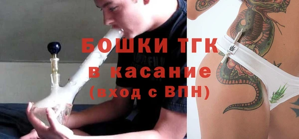 ALPHA PVP Краснослободск