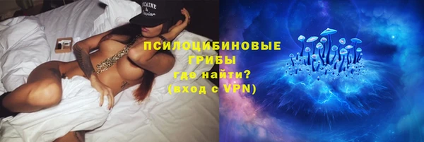 трава Корсаков