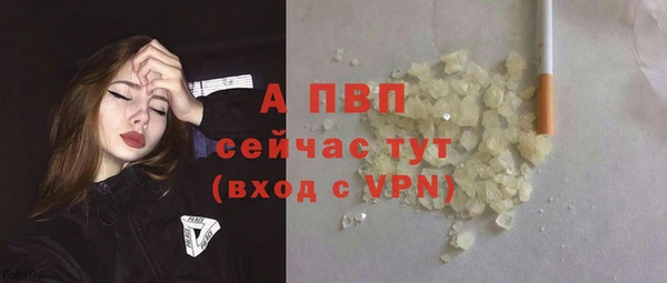 трава Корсаков