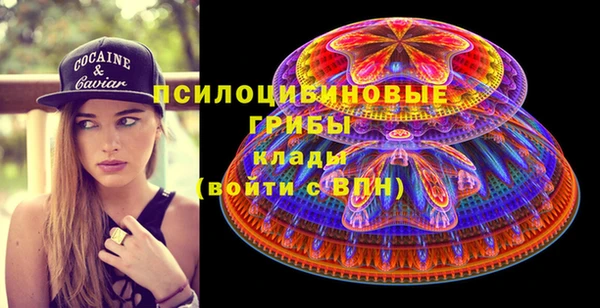 ГАЛЛЮЦИНОГЕННЫЕ ГРИБЫ Коряжма