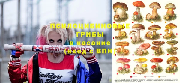 ALPHA PVP Краснослободск