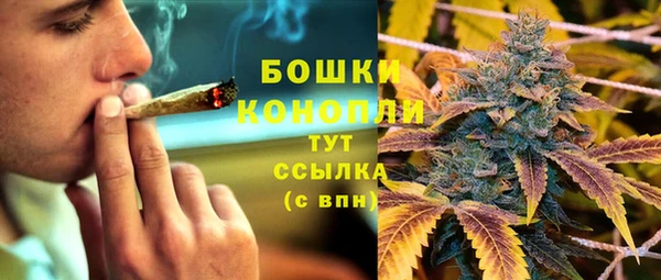 ГАЛЛЮЦИНОГЕННЫЕ ГРИБЫ Коряжма