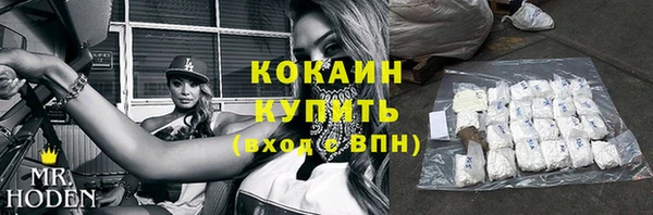 трава Корсаков