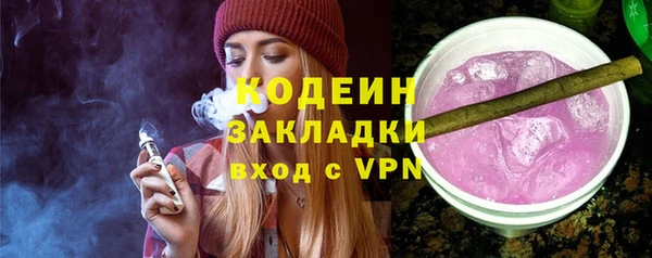 трава Корсаков