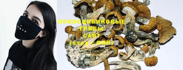 ГАЛЛЮЦИНОГЕННЫЕ ГРИБЫ Коряжма