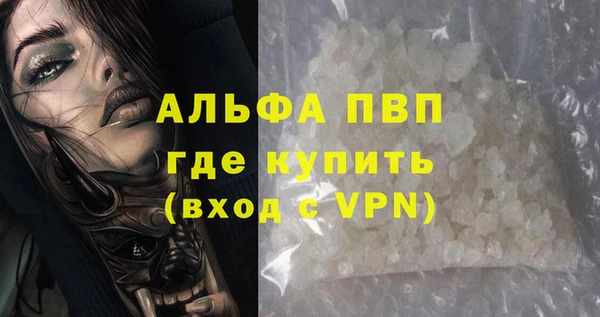 ГАЛЛЮЦИНОГЕННЫЕ ГРИБЫ Коряжма