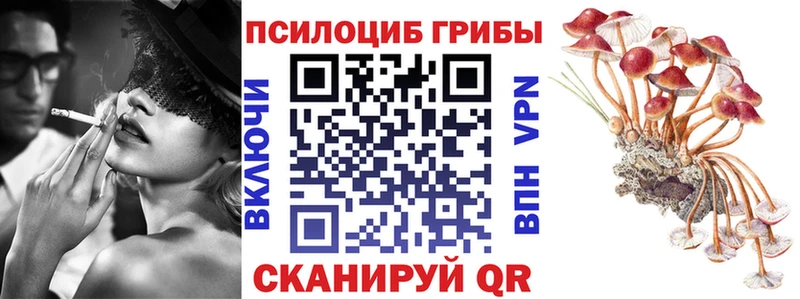 Галлюциногенные грибы Psilocybine cubensis  Новоаннинский 