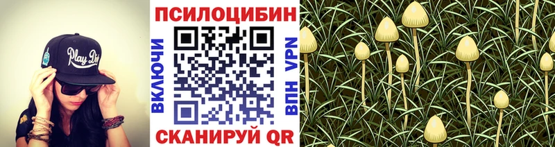 Галлюциногенные грибы GOLDEN TEACHER Новоаннинский